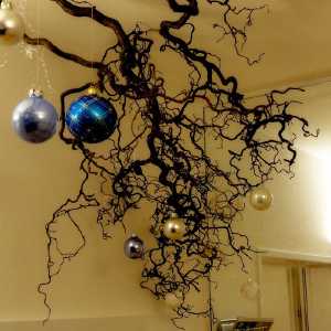 16_Praxis_Sabine_Zehnder