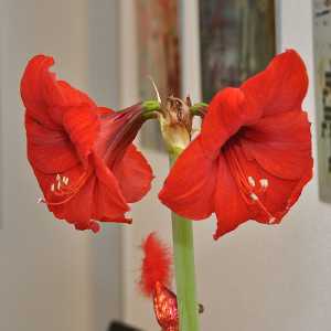 Praxis-Ursula_Buehlmann-4